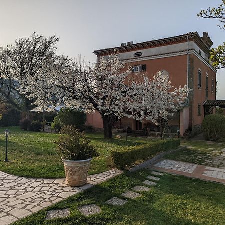 Dimora Marella Patrica - Frosinone 호텔 외부 사진