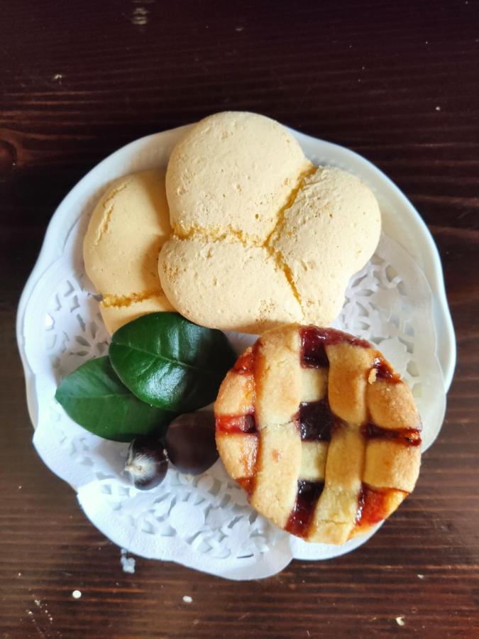 Dimora Marella Patrica - Frosinone 호텔 외부 사진