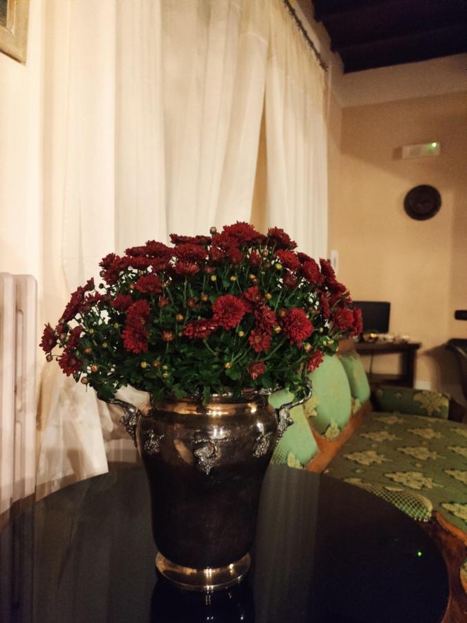 Dimora Marella Patrica - Frosinone 호텔 외부 사진